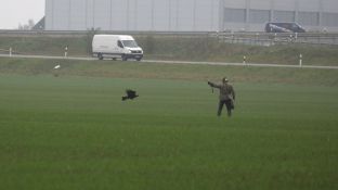 Barleben 16- (28).jpg