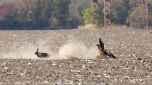 Barleben 18- (28).jpg