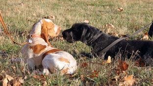 Barleben 18- (5).jpg