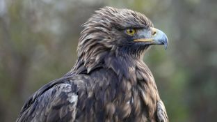 Barleben 2017 (30).jpg