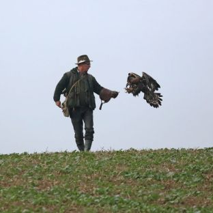 Niederndodeleben 16- (11).jpg