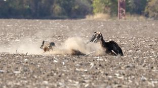 Barleben 18- (27).jpg