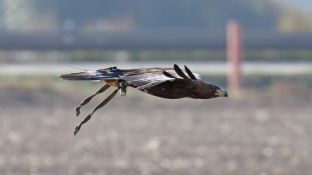 Barleben 18- (35).jpg