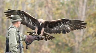 Barleben 18- (64).jpg