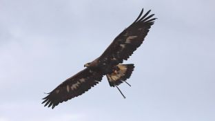 Barleben 18- (78).jpg