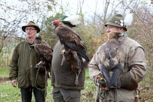 Barleben 2017 (21).jpg