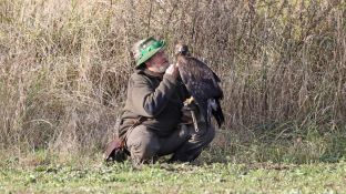 Barleben 2017 (44).jpg