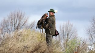 Barleben 2017 (46).jpg