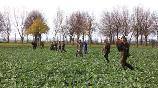 Barleben 2017 (62).jpg