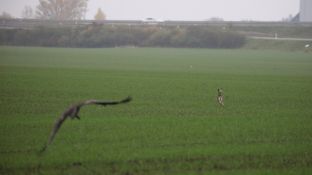 Barleben 16- (27).jpg