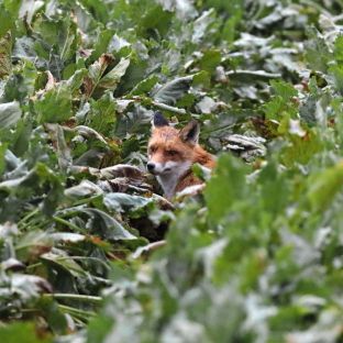 Barleben 16- (67).jpg