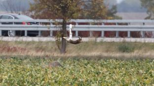 Barleben 18- (65).jpg