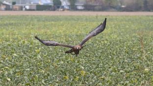 Barleben 18- (71).jpg