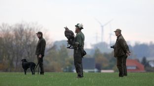 Barleben 18- (87).jpg