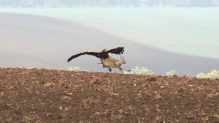 Niederndodeleben 16- (20).jpg