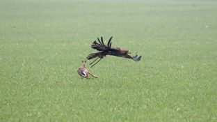 Niederndodeleben 16- (45).jpg