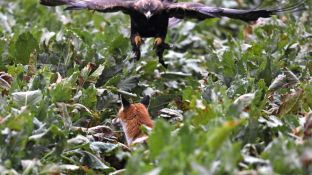 Barleben 16- (68).jpg