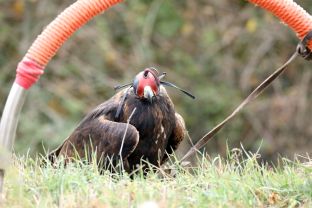 Barleben 18- (53).jpg