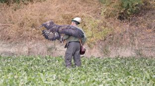 Barleben 18- (61).jpg