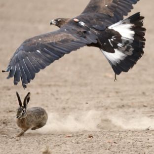 Barleben 18- (79).jpg