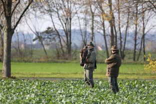 Barleben 2017 (53).jpg