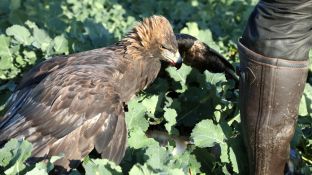 Barleben 2017 (55).jpg