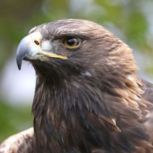 Barleben 2017 (75).jpg