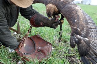 Barleben 2017 (78).jpg