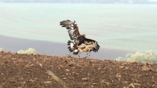 Niederndodeleben 16- (23).jpg