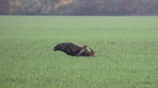 Barleben 16- (30).jpg