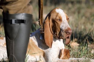 Barleben 18- (16).jpg