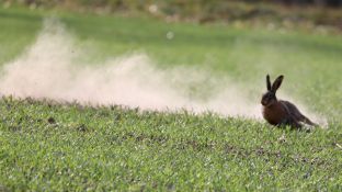 Barleben 18- (42).jpg