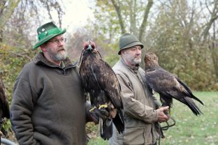 Barleben 2017 (13).jpg