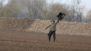 Barleben 2017 (80).jpg