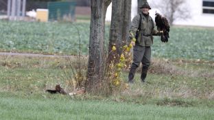 Barleben 2017 (96).jpg