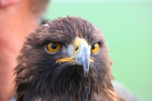 Niederndodeleben 16- (5).jpg