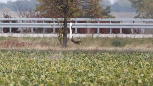 Barleben 18- (66).jpg