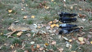 Barleben 18- (91).jpg