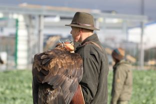 Barleben 2017 (50).jpg