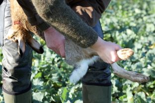 Barleben 2017 (58).jpg