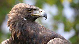 Barleben 2017 (74).jpg