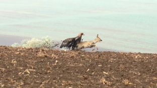 Niederndodeleben 16- (26).jpg