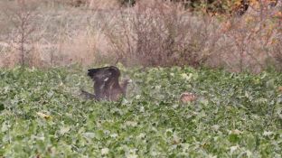 Barleben 18- (58).jpg