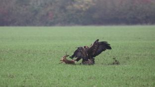 Barleben 16- (29).jpg