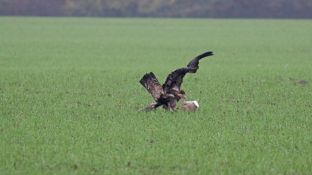 Barleben 16- (31).jpg