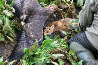 Barleben 16- (69).jpg