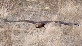 Barleben 18- (85).jpg