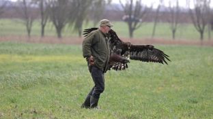 Barleben 2017 (108).jpg