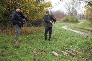 Barleben 2017 (113).jpg