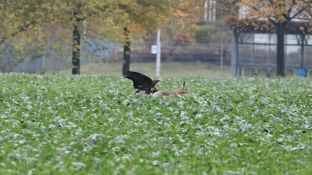 Barleben 16- (50).jpg